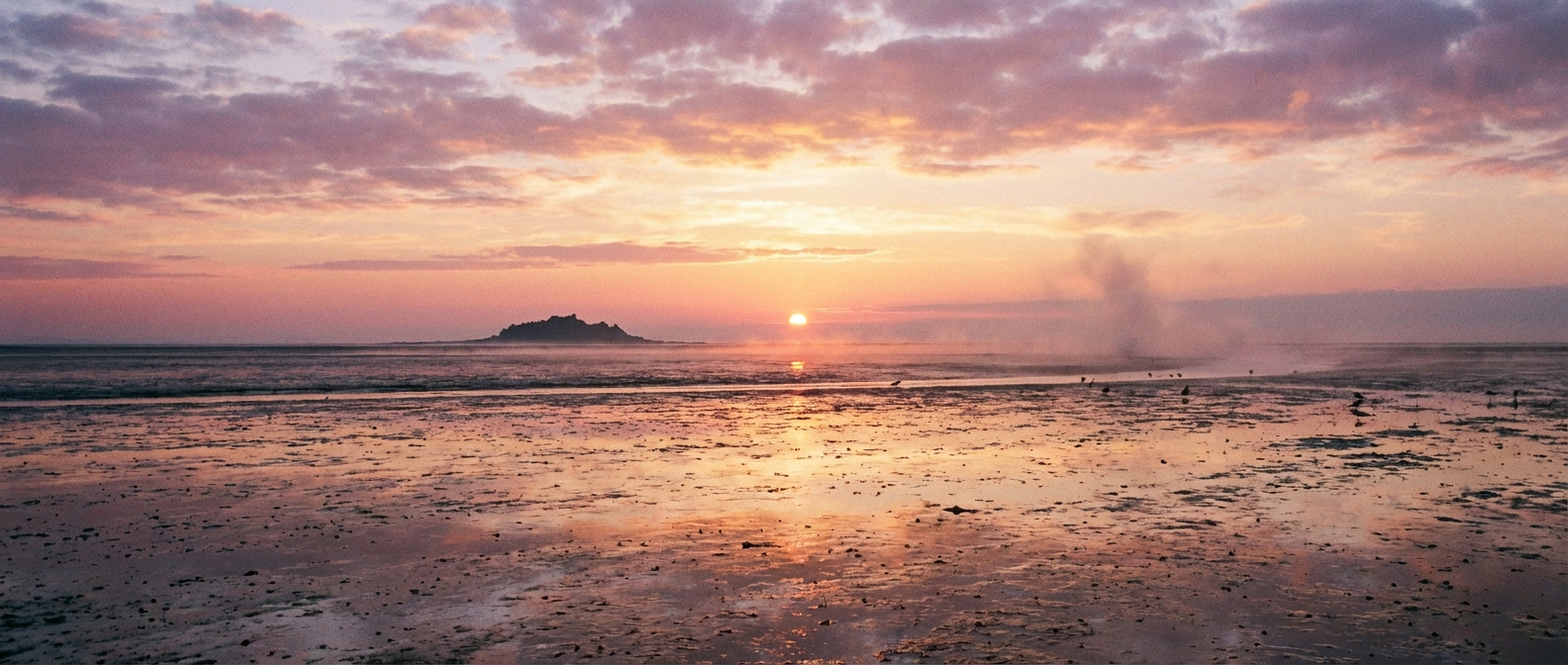 광활한 갯벌 위로 떠오르는 태양과 멀리 보이는 작은 섬의 실루엣, 고요하고 서정적인 서해 일출 풍경