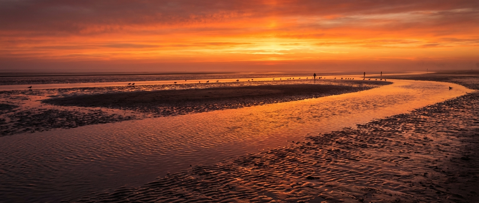 넓게 펼쳐진 갯벌 위로 붉은 해가 떠오르며 황금빛으로 물드는 강화도 동막해변의 이색적인 일출